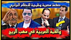 صفعة مصرية وخليجية للنظام الجزائري والقمة العربية في مهب الريح